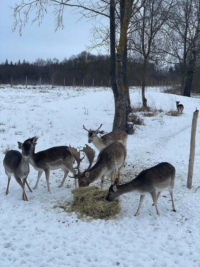 Arciau Gamtos Anyksciai Villa Kurkliai Exteriör bild