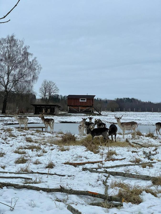 Arciau Gamtos Anyksciai Villa Kurkliai Exteriör bild